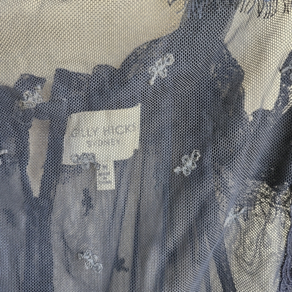 Gilly Hicks Sheer Lace and Velvet Cami - Picture 2 of 3